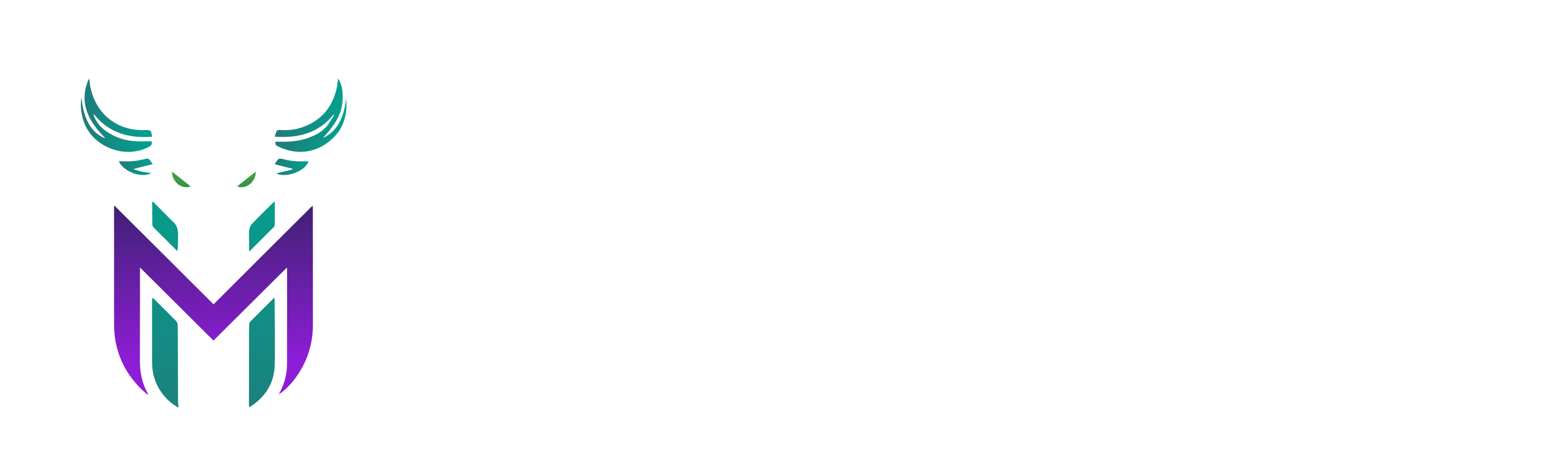 Meme Holding
